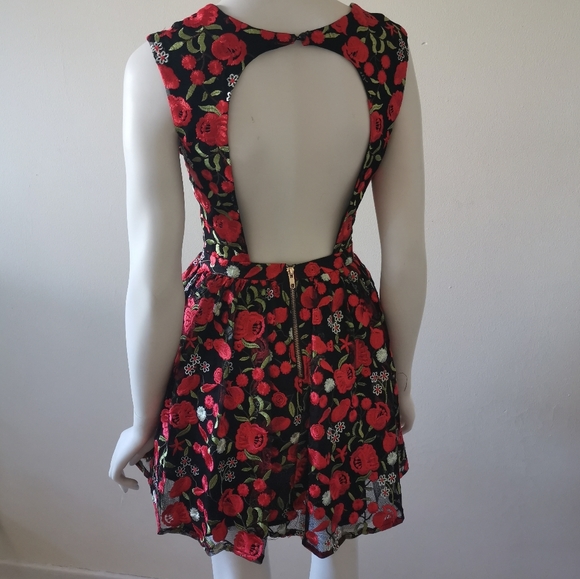 Embroidered Skater Dress - Picture 6 of 6